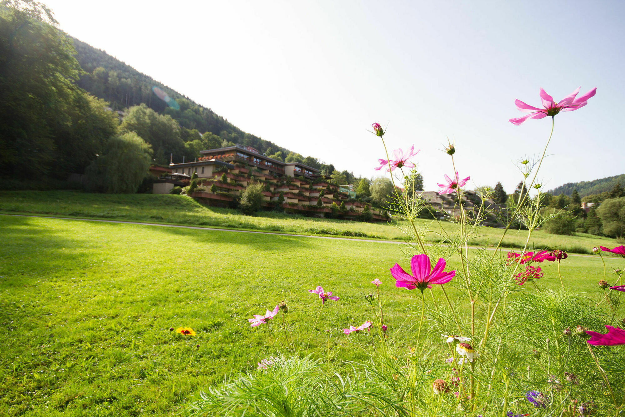 Hotel Valsana Am Kurpark Bad Wildbad Luaran gambar